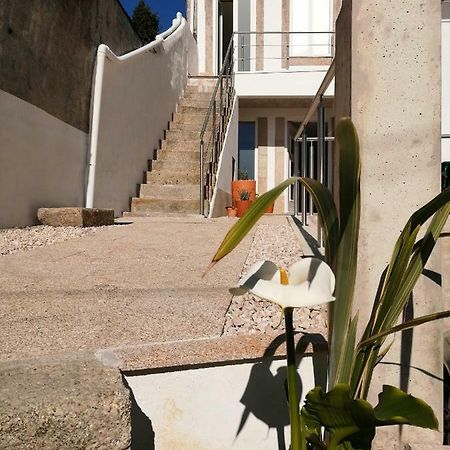 Apartamento Casa Ventuzelo OOporto Exterior foto